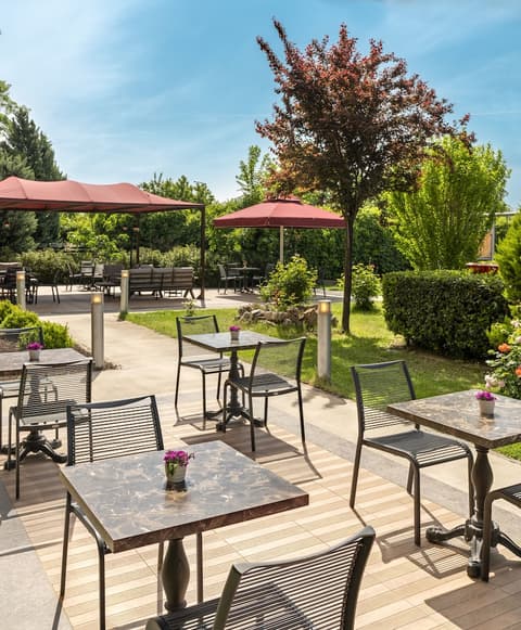 ibis Bursa, Ecotours