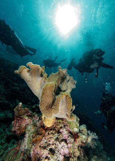 The Residence Zanzibar