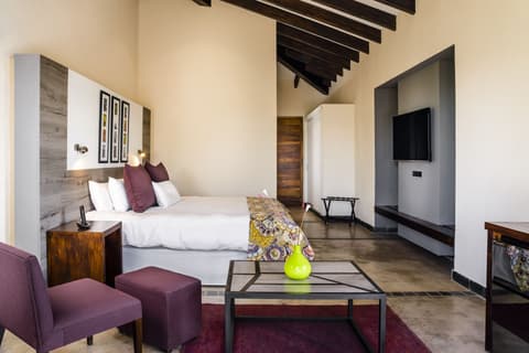 Mendoza entre viñedos – foto 3