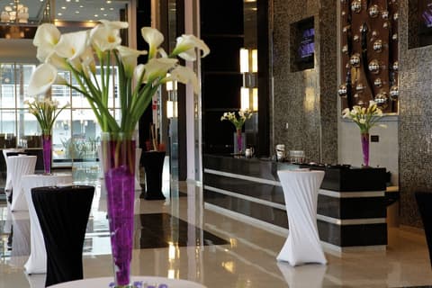 Hotel Riu Plaza Guadalajara