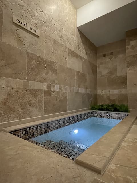 Hotel Alexandar Lux, Indoor pool