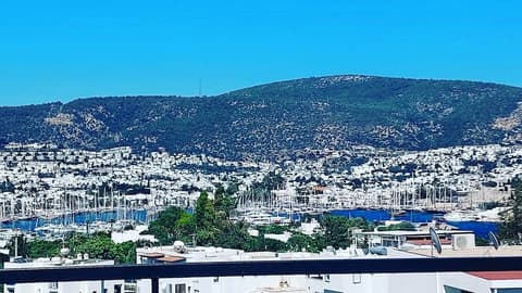 Emelce Aparts, Terrace/patio