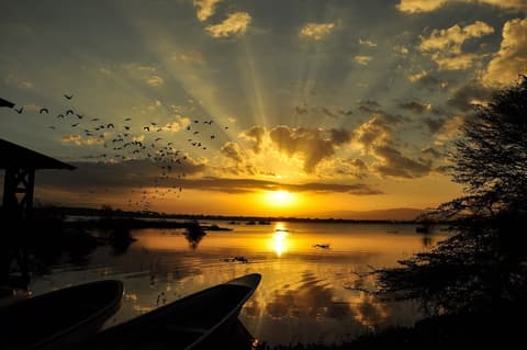Muthu Lake Naivasha Country Club, Naivasha