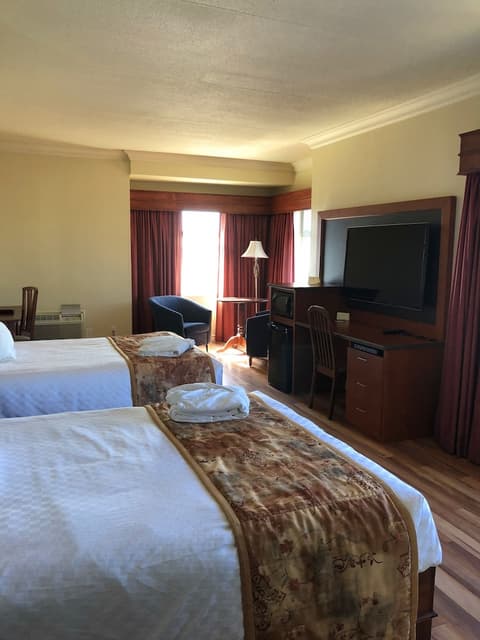 Hotel L'Oie des neiges, Room