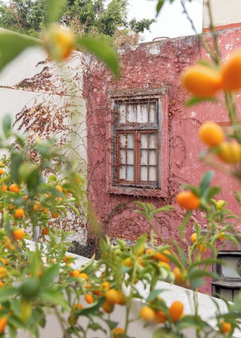 Casa Chic Palermo Soho, Terrace/patio