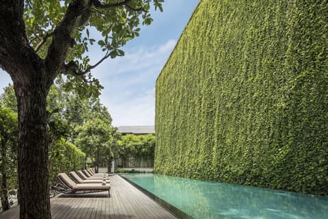 137 Pillars House, Pool