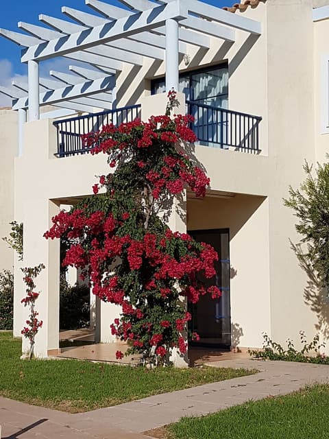 Bimbolla Apartaments, Terrace/patio