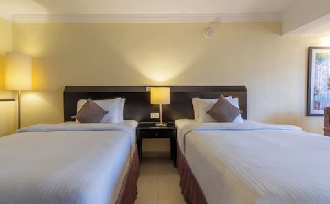 Petra Guest House, Room