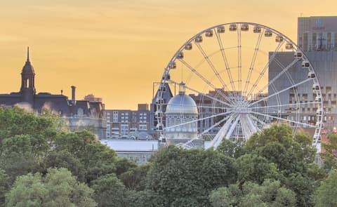 Homewood Suites by Hilton Montreal Midtown, Quebec, Canada