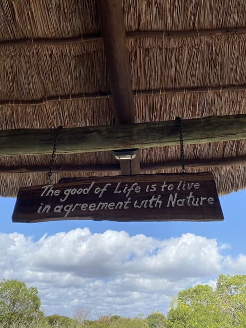 Saadani Safari Lodge - bush, river, beach