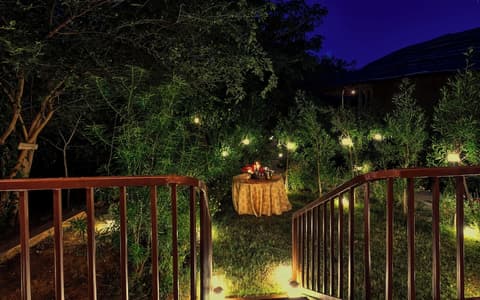 The Earth At Ranthambore, Room