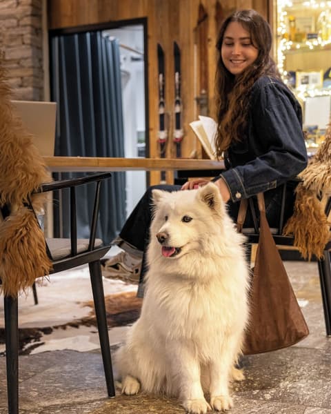 Hôtel Mercure Peyragudes Loudenvielle Pyrénées