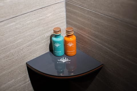 Queen Ann Hotel, Room