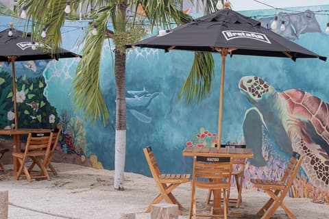 Sanha Plus Hotel, BBQ/picnic area