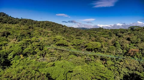 Ficus Sunset Suites, Hiking