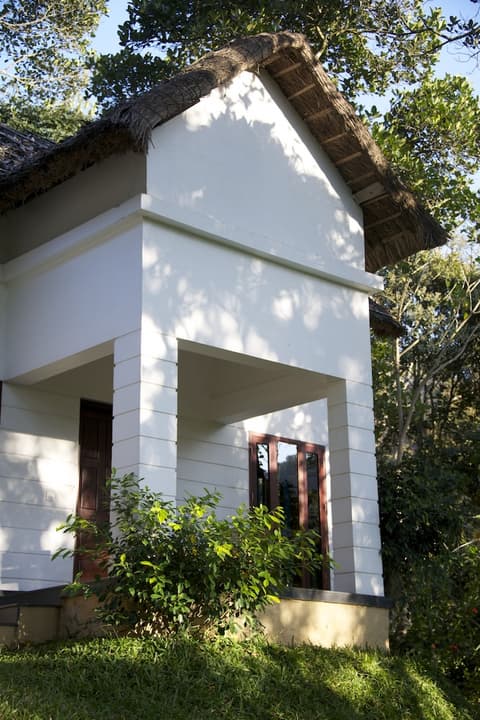 Niraamaya Cardamom Club, View from property