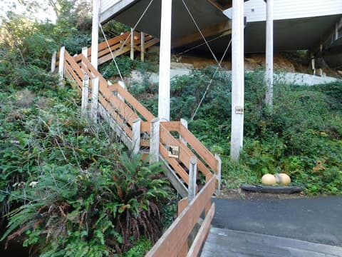 Little Creek Cove Beachfront Resort