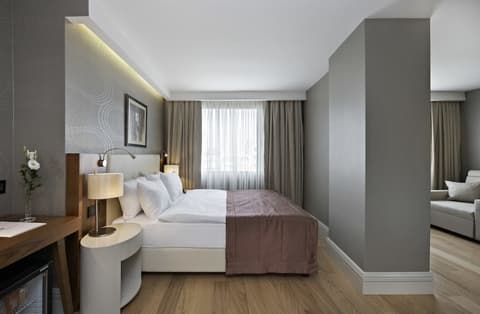 Ramada by Wyndham Istanbul Grand Bazaar, Room