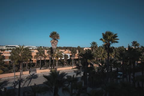 Wine & Books by the Sea, Algarve Resort