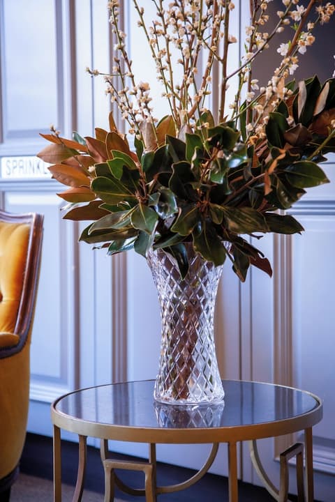 Bayswater Boutique Lodge - Potts Point