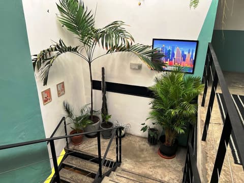 Canova, Interior detail