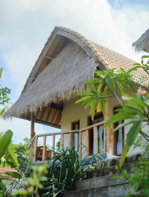 NG Sweet Home