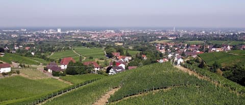 Holiday Inn Express Offenburg by IHG