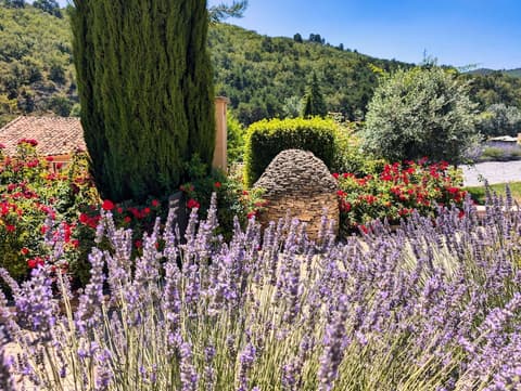 Domaine Ribiera, Hotel 5 Etoiles, SPA & Golf - Forcalquier, Reception