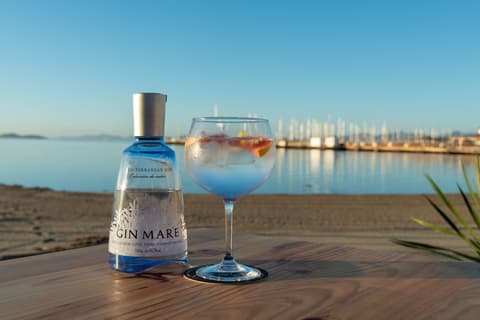 Ibersol Atrio del Mar