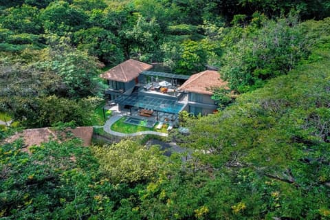 El Mangroove Papagayo, Autograph Collection