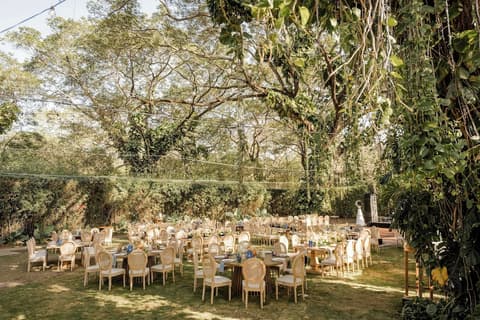 El Mangroove Papagayo, Autograph Collection