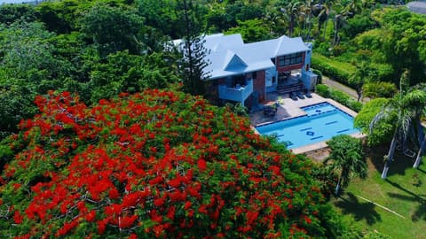 Hotel Casa De Las Flores, Property grounds