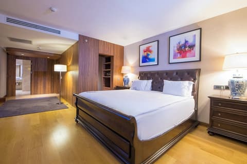 Crowne Plaza Kayseri by IHG, Room