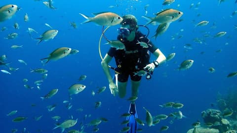 Papagayo Beach Hotel