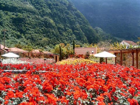 Pestana Quinta do Arco Nature & Rose Garden Hotel