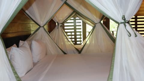 Hotel Amazon by On Vacation