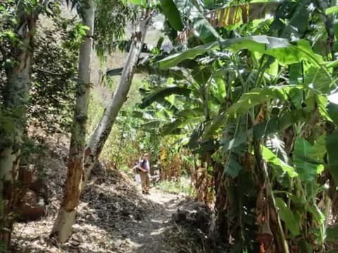 Praiano Aparthotel, Property grounds