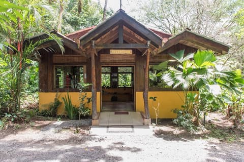 Arenal Oasis, Reception