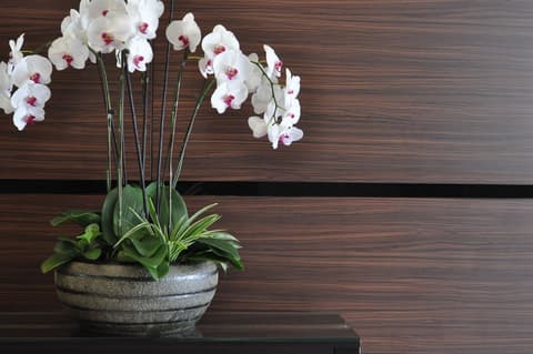 Dreamtel Kota Kinabalu