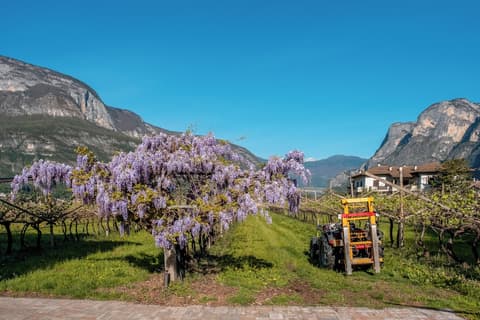 Antico Fienile Agritur
