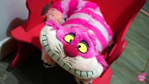 Pensión AliciaZzz Bed & Breakfast, Reception