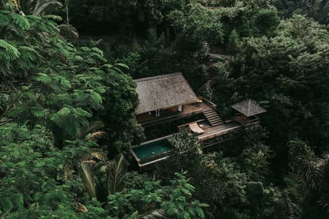 Buahan, A Banyan Tree Escape