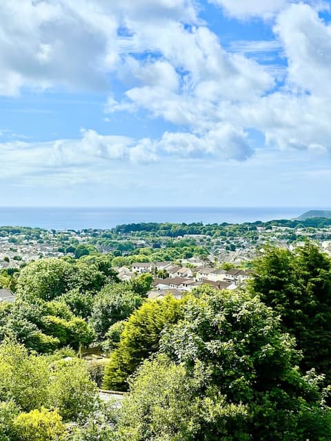 Pochin House Collections