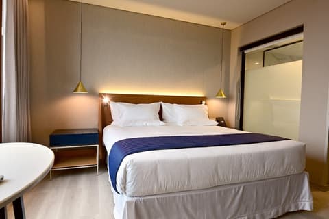 Novotel Santa Cruz De La Sierra