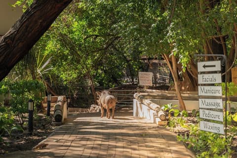 Chobe Safari Lodge, Property amenity