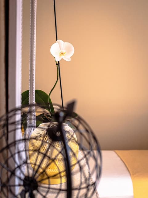 Clos Saint-martin, Room