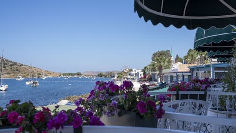 Liman Hotel Gumusluk- Adult Only