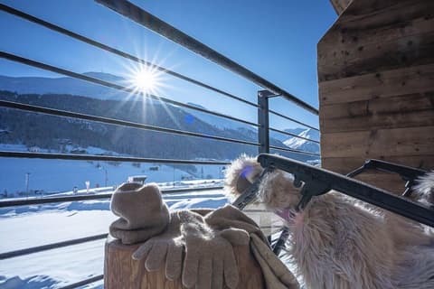 Vetta Alpine Relax, Terrace/patio