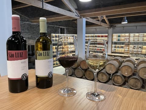 Quinta de São Luiz - The Vine House, Winery