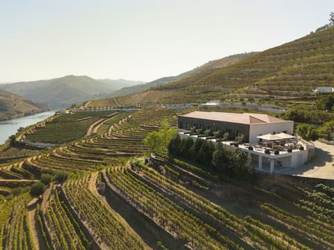 Quinta de São Luiz - The Vine House, Front of property